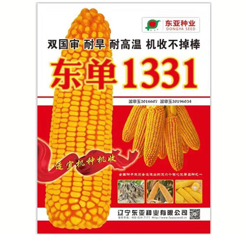 东单1331