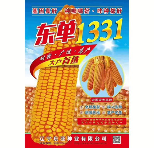 东单1331
